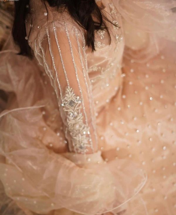 WhatsApp Image    at .. PM  x