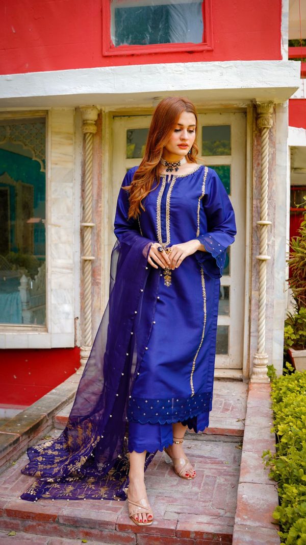 WhatsApp Image at .. PM x